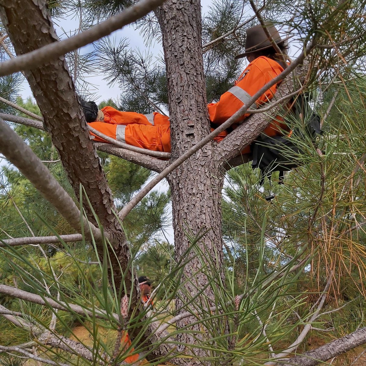 Bodying for our search dogs can be a tiring business 😴

But on a serious note, it’s good to challenge what the dog (and handler) perceives as normal.