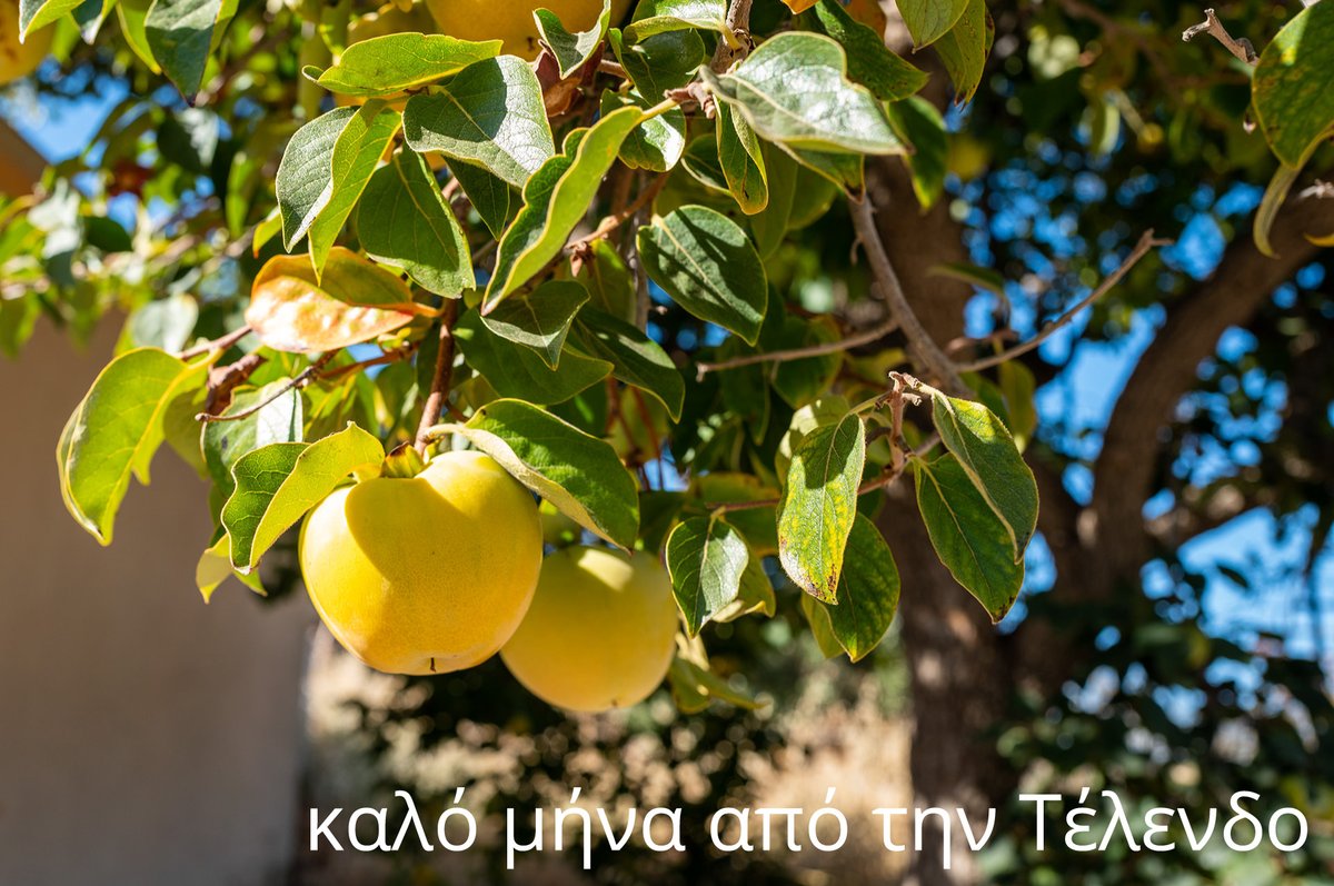telendos_de's tweet photo. Kαλό μήνα από την Τέλενδο #telendos #kalymnos https://t.co/gQkk7kLvMh