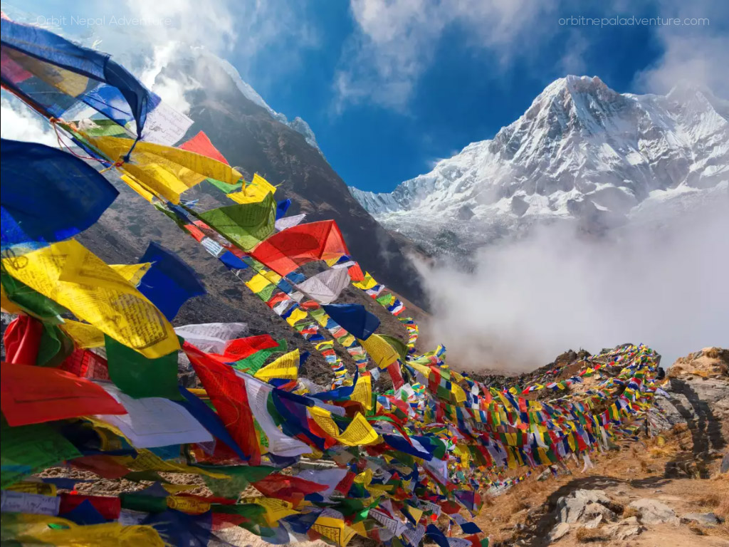 Orbit Nepal Adventure tweet media