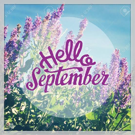 temispire's tweet photo. Welcome to the Ember months.
May it be filled with more work and more money.

Remember, stay confident and be consistent.

All love from Temispire 
#newmonth #welcomeseptember https://t.co/2xA39EyFBC