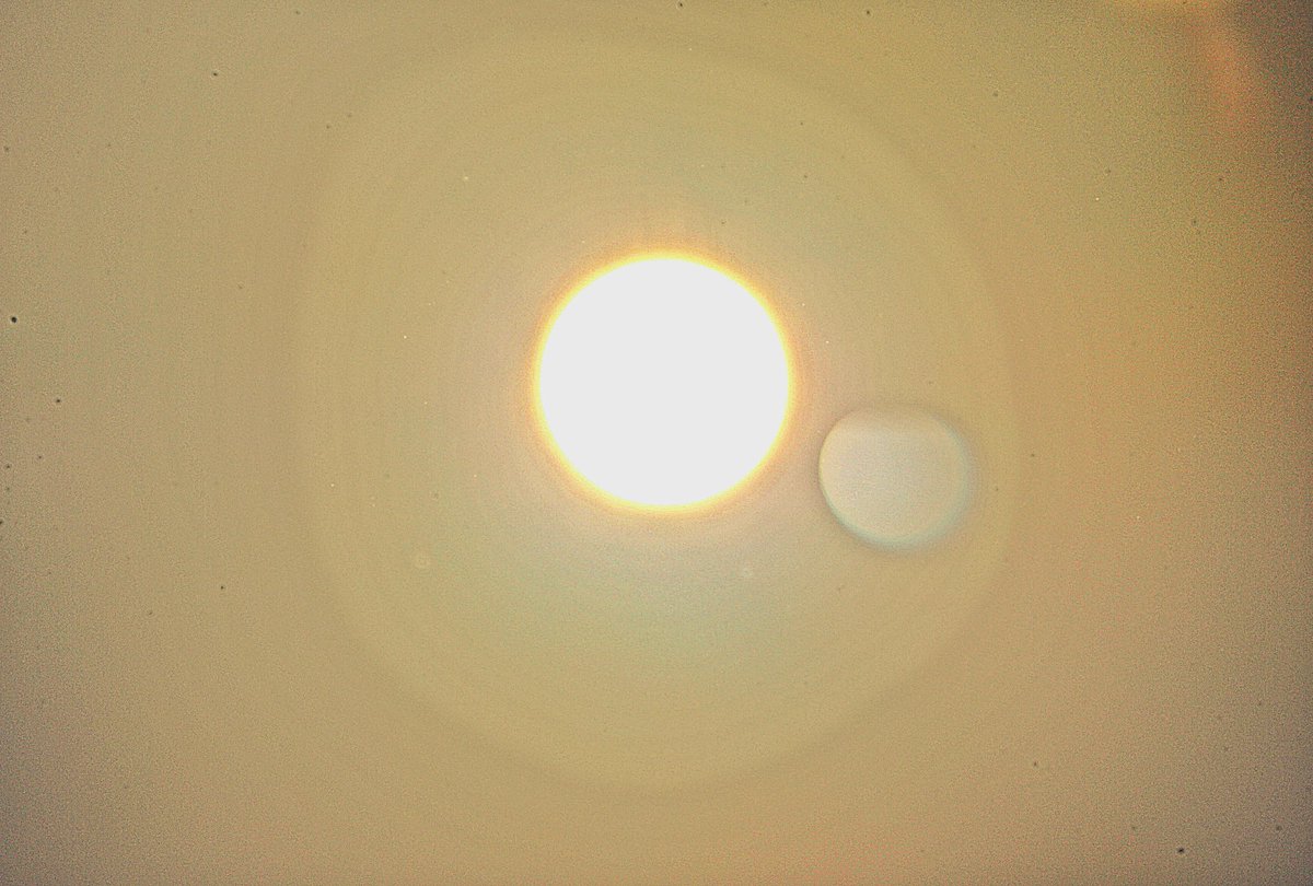 BigareBen's tweet photo. Sun Photos 2022 Fuck them and their fake News they can't stop the rain from falling
#bigare #Astrophotography #Bigareben #Realsun #PhotoOfTheWeek #NaturePhotography #natureๆฎๅฝฑไผ #Balance #bymekingz https://t.co/1vrz7BG7IK
