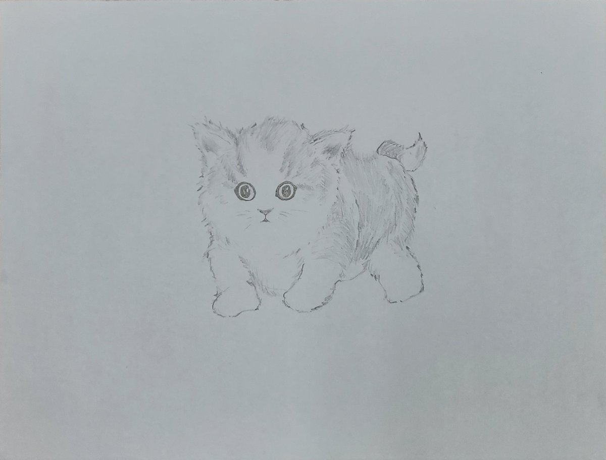 Hand drawn with a mechanical pencil.