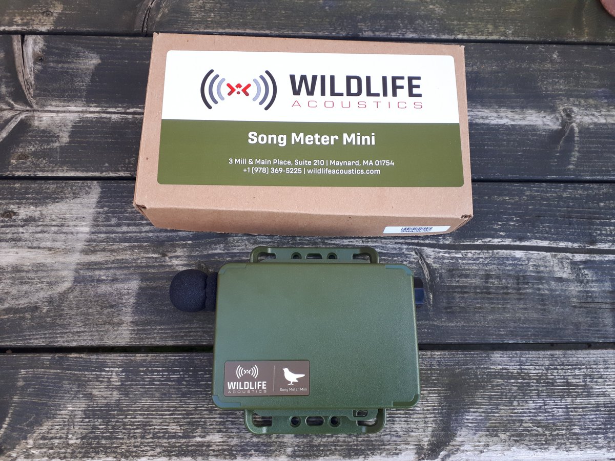 TarvoValker's tweet photo. Upgraded my nocmig equipment with Song Meter mini. Will test it this night. Thank you @veldshopnl for very quick and good service. Veldshop has wide range of audio recording equipment with good pricing- so if you are fan of nocmigging, it´s worth to check their website. https://t.co/HjNCMNKvva
