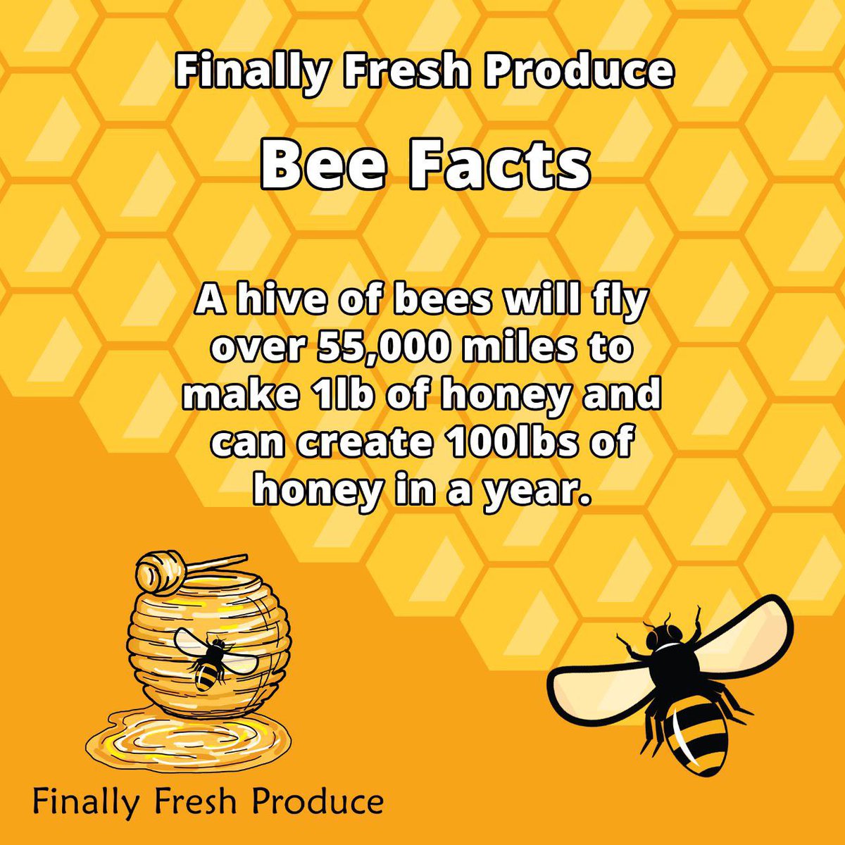 FinallyProduce's tweet photo. Such amazing hard workers #bees are!

#beekeeperslife #beehives #savethebees #beekeepers #bee #beekeeper #honeybees #honey #beehives #polinators #apiculture https://t.co/qoYk82T1pZ