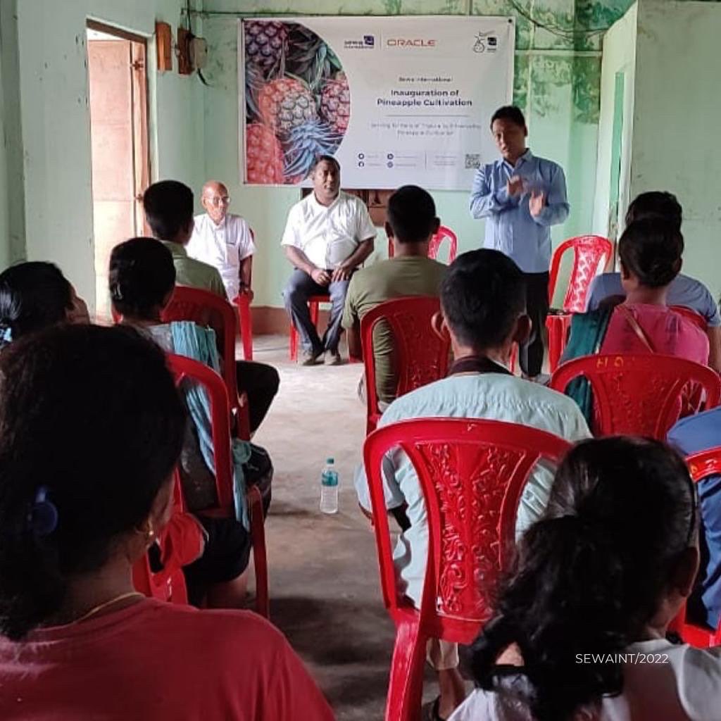 Sewa_Intl's tweet photo. We are marking a new milestone in the journey of Queen #Pineapple farming project as we celebrate 25 years of Sewa.
The "Queen" variety of pineapple from Tripura was accorded the geographical indication (#GI) label.
#SewaInternational #GeographicalIndicator #QueenPineapple https://t.co/OtjwYNYDbR