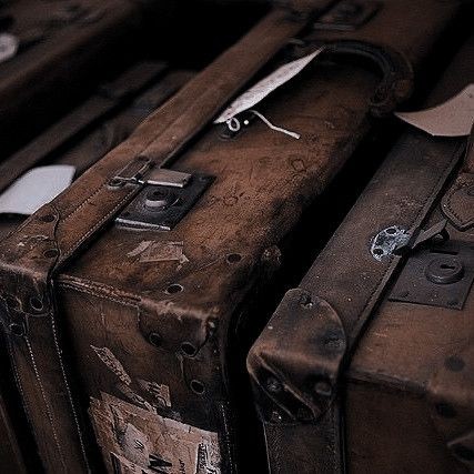 I think I have everything... maybe there's space for just one more book!