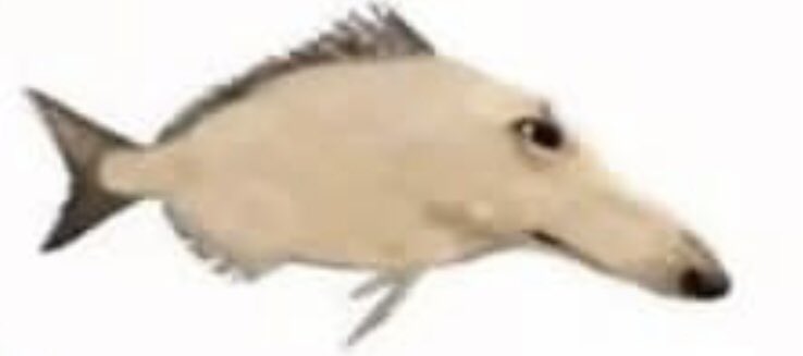 wake up sheeple! now is not the time to munch on detos and dr.bob! the government doesn’t want you having this piece of information lying around.
there’s a secret code embedded in this photo that the CIA kept hidden after the myth of watergate
repost to save the nation!