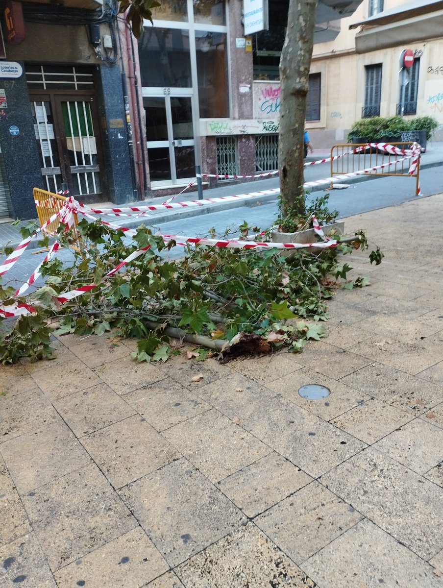 marcbasanta's tweet photo. @ElBellvis @LHAjuntament @liniaxarxa Es que es cuida molt la ciutat, a la rambla just Oliveras ja portem uns dies així @LHAjuntament https://t.co/nL1OYXF6xj