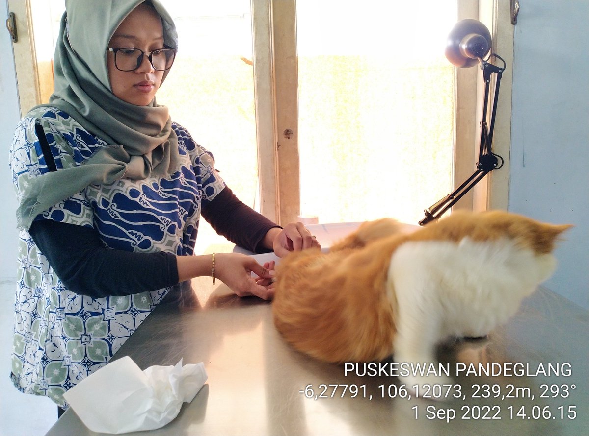 dpkppandeglang's tweet photo. Giat UPT PUSKESWAN PANDEGLANG: Pelayanan kesehatan hewan di Puskeswan Dinas Pertanian dan Ketentuan Pangan #DPKP Kabupaten Pandeglang Kamis 1 September 2022

Layanan #CallCenter 0877-7335-7422

Tksh sudah berkunjung ke PUSKESWAN PANDEGLANG

CC @irnadim99 @nasirdistan @uun05129643 https://t.co/ldnge9tuxX