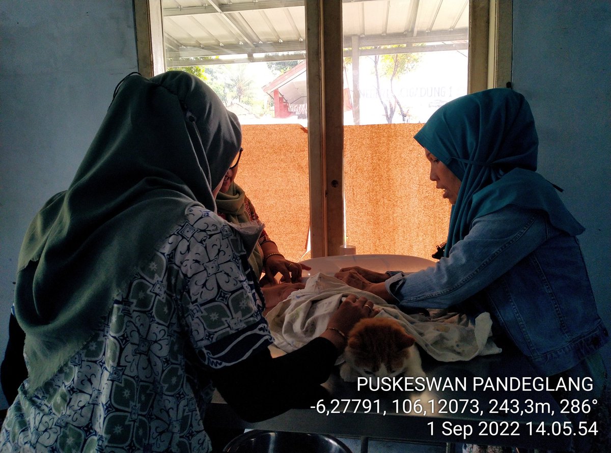 dpkppandeglang's tweet photo. Giat UPT PUSKESWAN PANDEGLANG: Pelayanan kesehatan hewan di Puskeswan Dinas Pertanian dan Ketentuan Pangan #DPKP Kabupaten Pandeglang Kamis 1 September 2022

Layanan #CallCenter 0877-7335-7422

Tksh sudah berkunjung ke PUSKESWAN PANDEGLANG

CC @irnadim99 @nasirdistan @uun05129643 https://t.co/ldnge9tuxX