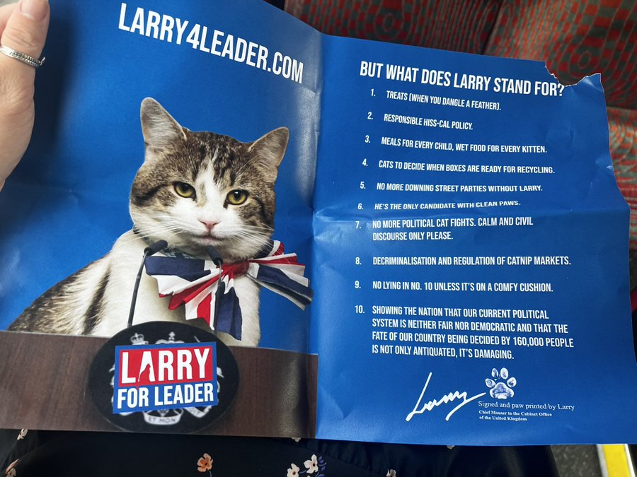 What will happen to UK's Downing Street 'Chief Mouser' Larry the cat?