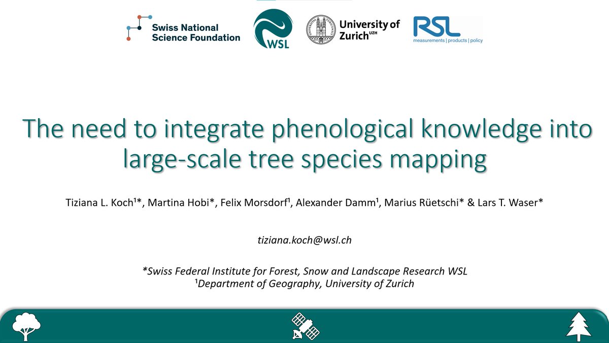 Today I will talk at #ForestSAT2022 about the evaluation of tree phenology derived from Sentinel-2 to improve large-scale tree species mapping 🍃📈🌍 Visit the session about forest attribute maps <a href="/WSL_RemoteSens/">Remote Sensing @ WSL</a> <a href="/uzh_geo/">UZH Geography</a>