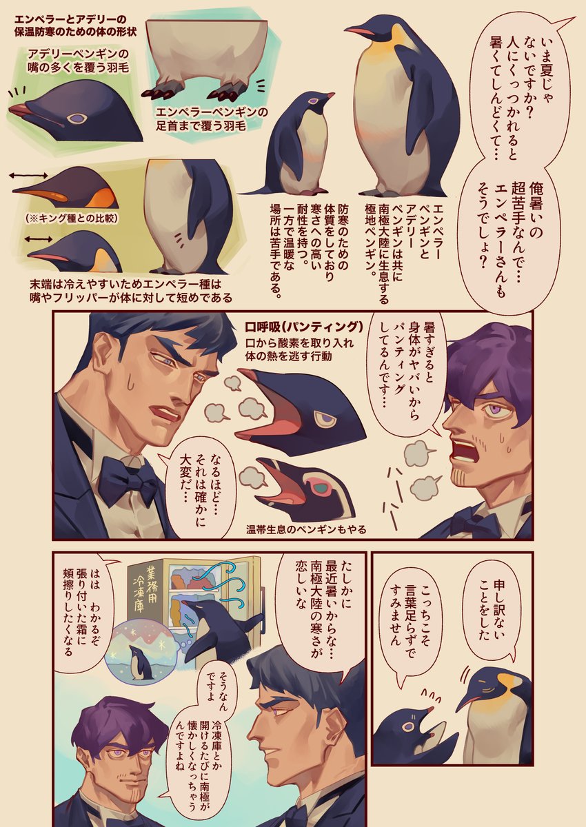 ペンギン擬人化創作 エンペラーとアデリーは南極生まれ 