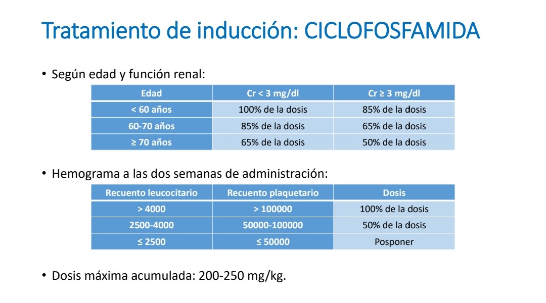 CharlsCbz's tweet photo. @FreddyShanner @nefroaldia @anace710 @crisheco @senjoven @Dr_Bqg @SENefrologia La dosis se ajusta por edad, función renal y hemograma. En este caso, a la habitual de 0.75 g por m2 de superficie corporal y según edad, sería el 65% de la dosis. https://t.co/6A0RLD5vtk