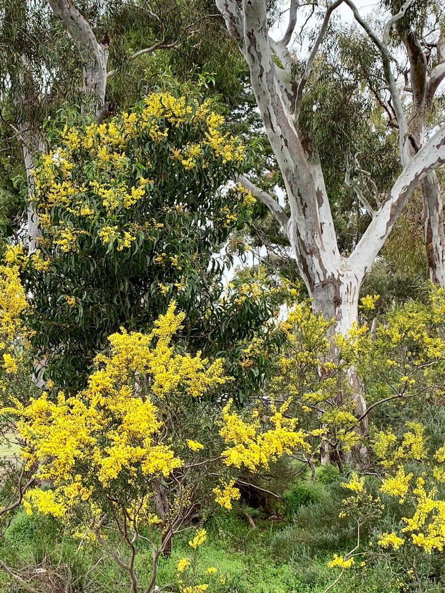 Keith Conlon tweet media