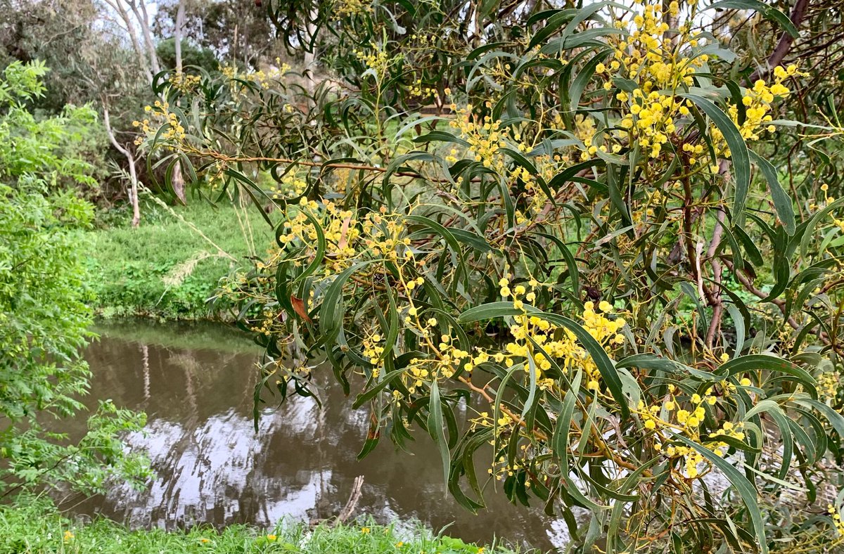 Keith Conlon tweet media