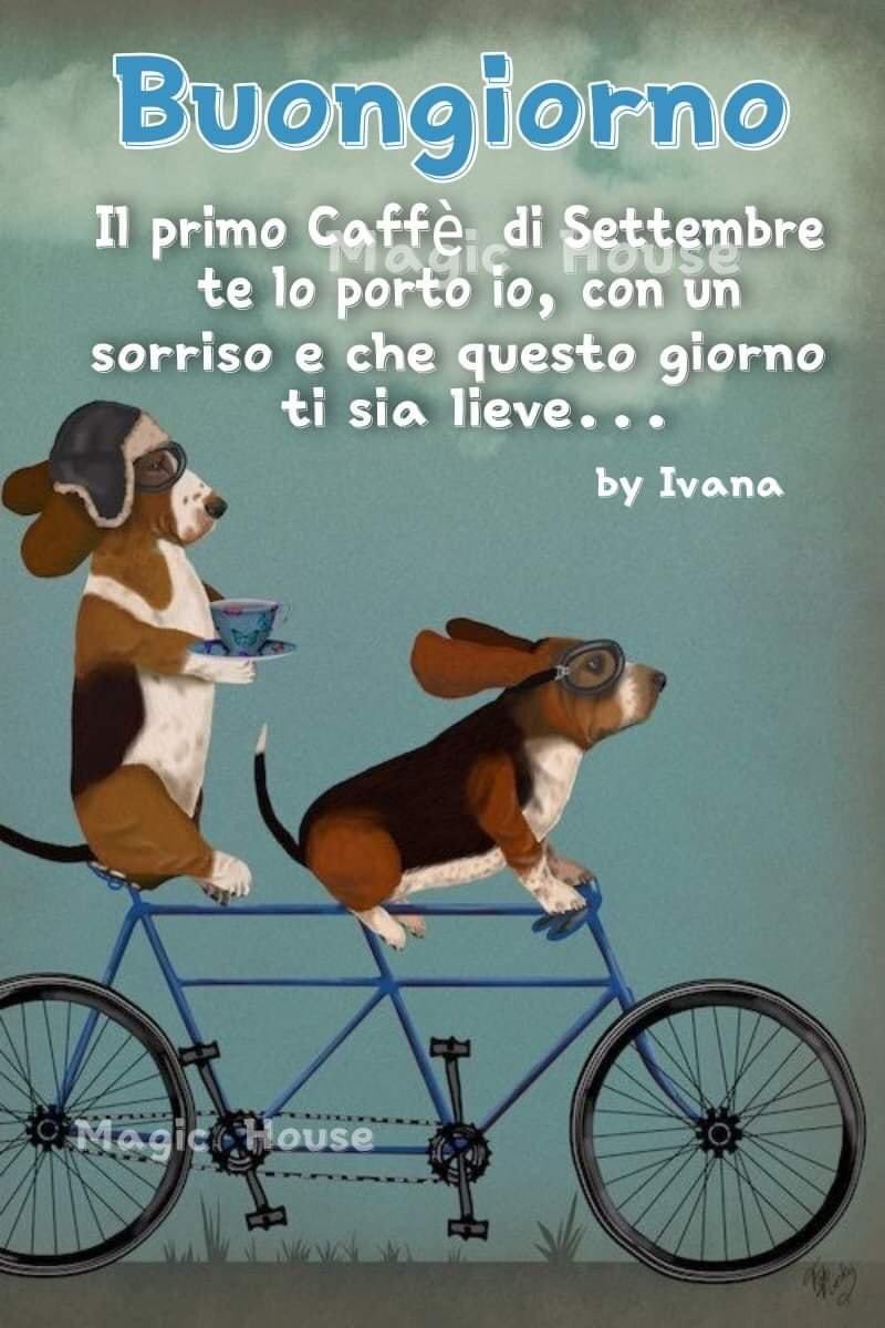 <a href="/criclastre/">Cri.Cris.Cristina🌹</a> caffè e sorriso ☕️😊😘