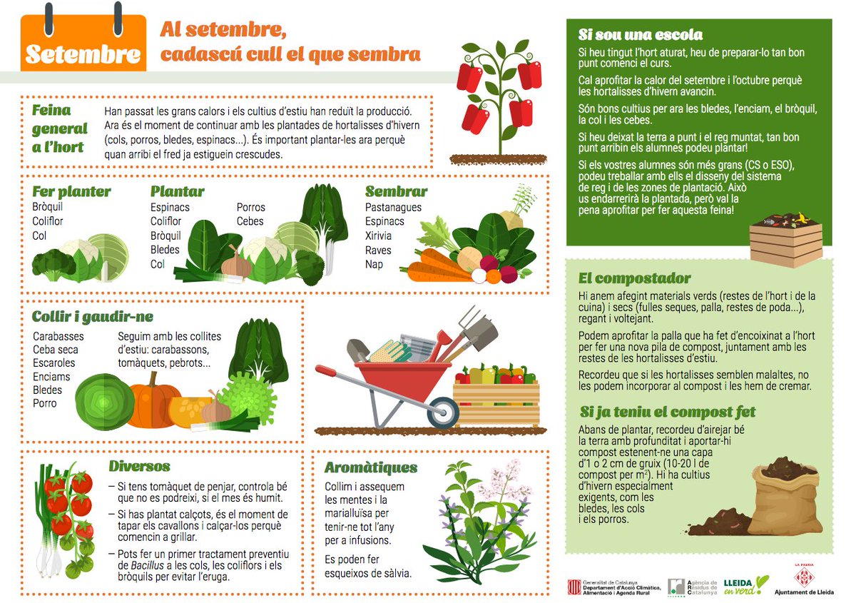 lleidaenverd's tweet photo. El refranyer popular diu “Al setembre, cadascú cull el que sembra”. Consulta aquesta imatge per saber totes les tasques a fer a l'hort i al compostador durant el mes de setembre!
#HortsFamiliarsRufea #HortaDeLleida #HortsUrbans #agriculturasocial #compostatgelleida #residuzero https://t.co/4RmT7P7BD4