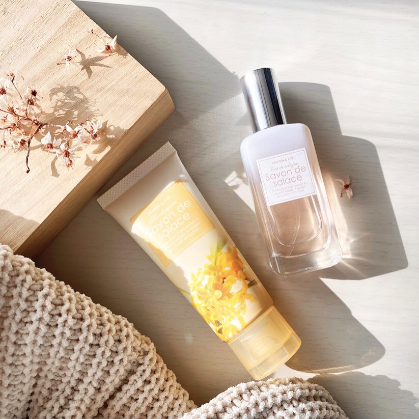 will_koshoku's tweet photo. 秋は金木犀のフレグランスがオススメです🍁
去年即完売したFRAGRANCYも入荷しました😊

 #千曲市 #ウィル更埴店 #FRAGRANCY #金木犀 https://t.co/d9wpOi7EHM