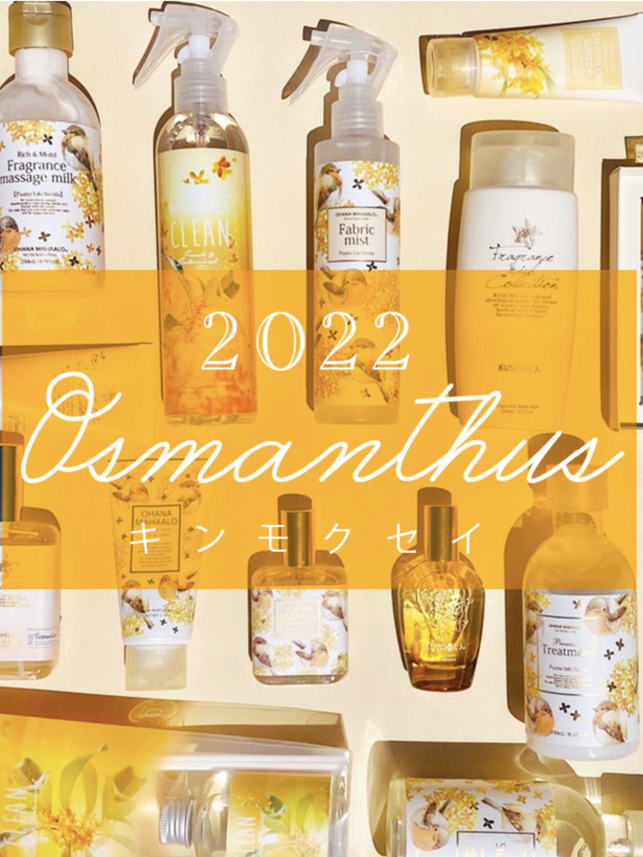 will_koshoku's tweet photo. 秋は金木犀のフレグランスがオススメです🍁
去年即完売したFRAGRANCYも入荷しました😊

 #千曲市 #ウィル更埴店 #FRAGRANCY #金木犀 https://t.co/d9wpOi7EHM
