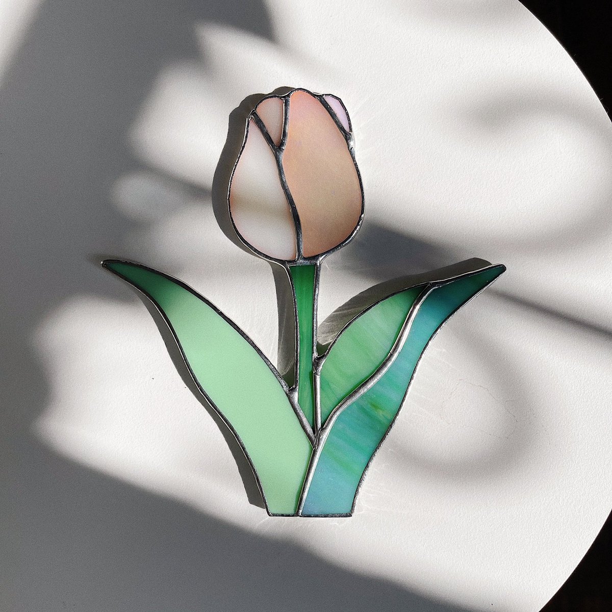 작년에 진짜 튤립농사를 거하게 말아먹어서 일까요,, 유리튤립으로 모든 색상을 가지고 싶어요🙀💖💖 (집착)