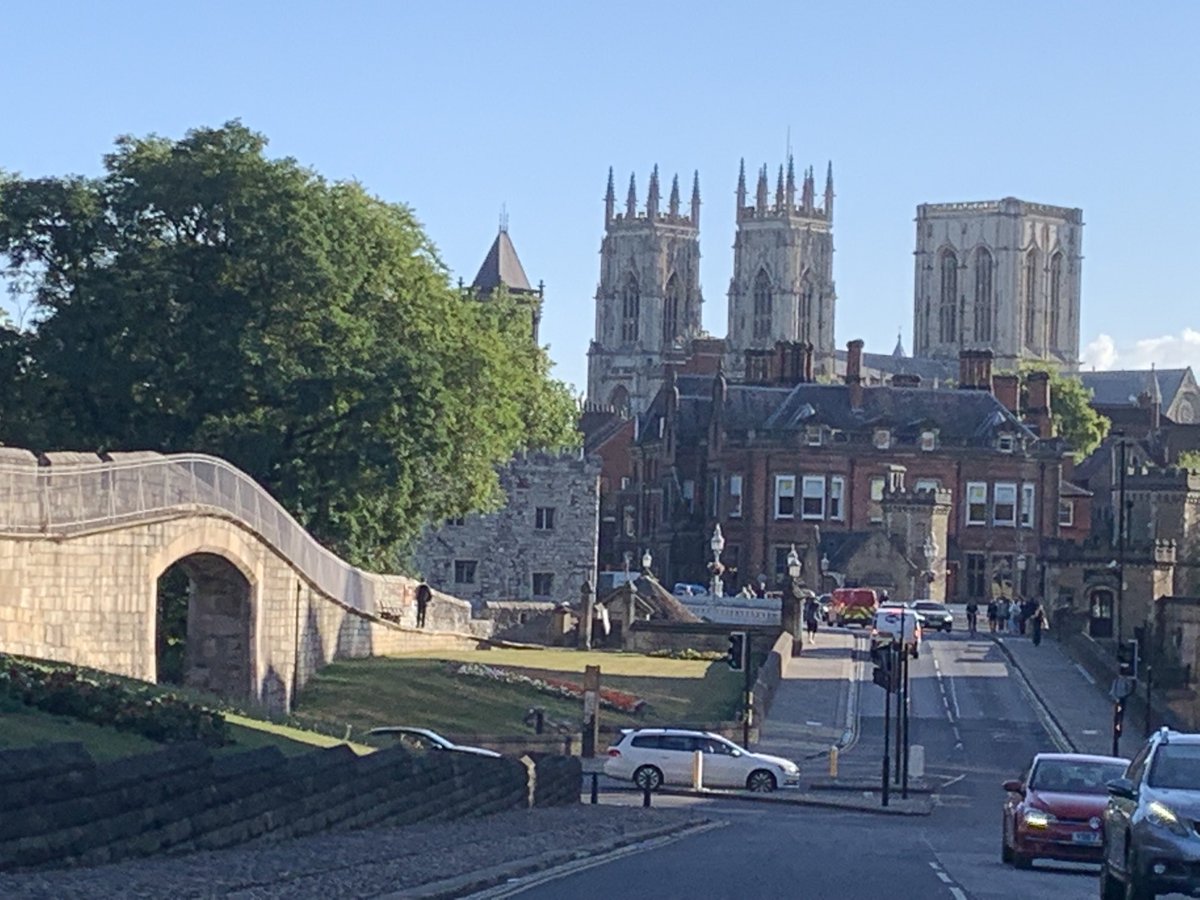 Alex Morton tweet media