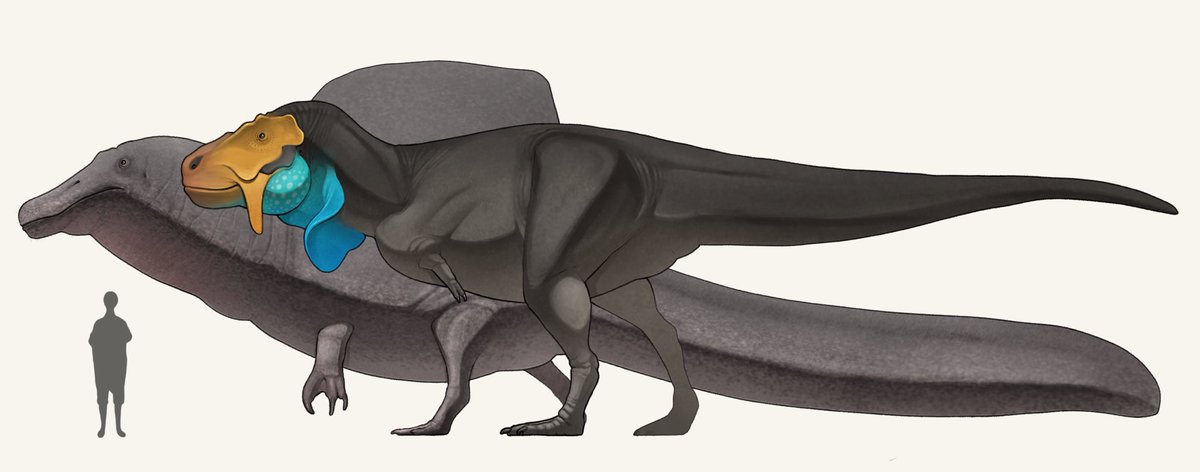 「スピノサウルスとティラノサウルス 」|nao70sharkのイラスト