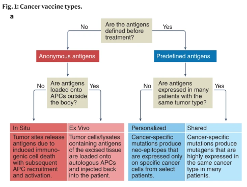 NatureCancer's tweet photo. 💫DON’T MISS this Review on #CancerVaccines as part of our #SeriesCancerImmunotherapy – a beautiful overview by @joshuabrodyMD @matthew_j_lin @DrIgMelero &amp; Co. 
Read it👇
https://t.co/SrjbpUUIv4
https://t.co/VCwLLybuLS

Series 👇
https://t.co/0PtRlScYXv https://t.co/MtsTgFw9G5
