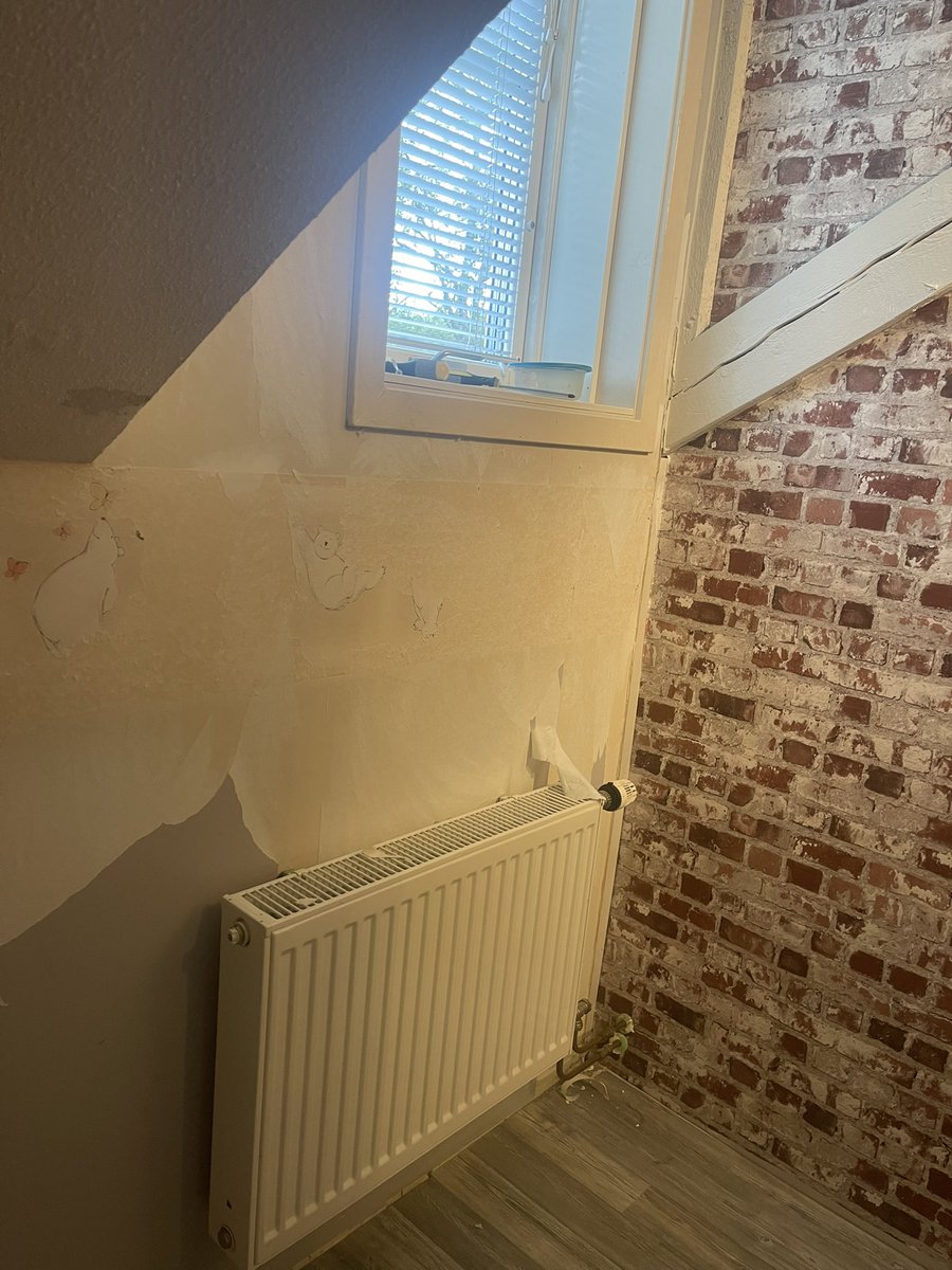 Jenny Tropp tweet media