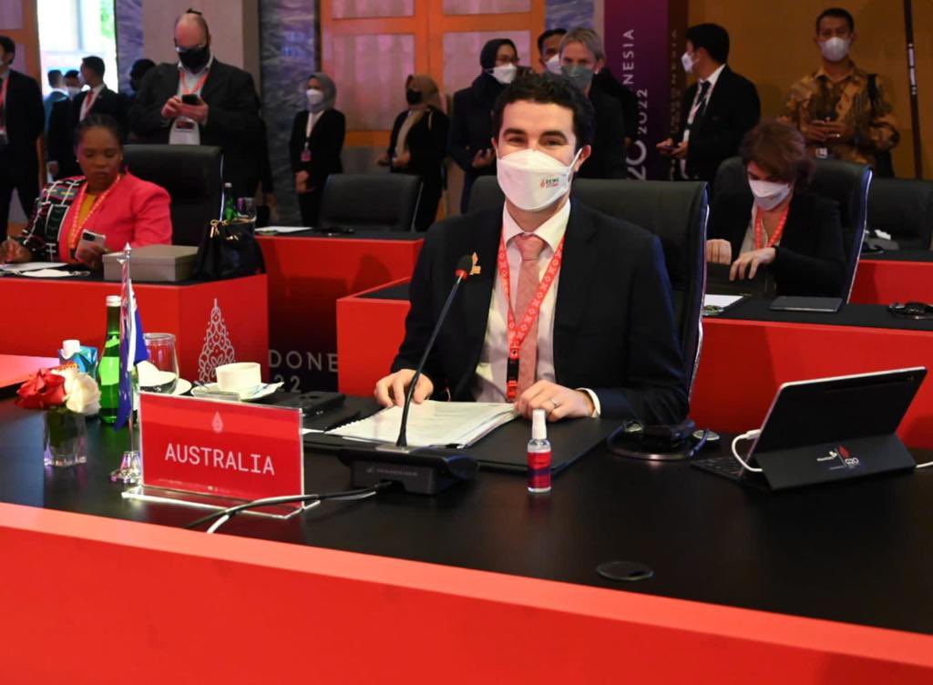 DFAT🇦🇺 on Twitter "RT TimWattsMP Today I represented 🇦🇺 at the G20 Digital Economy Ministers