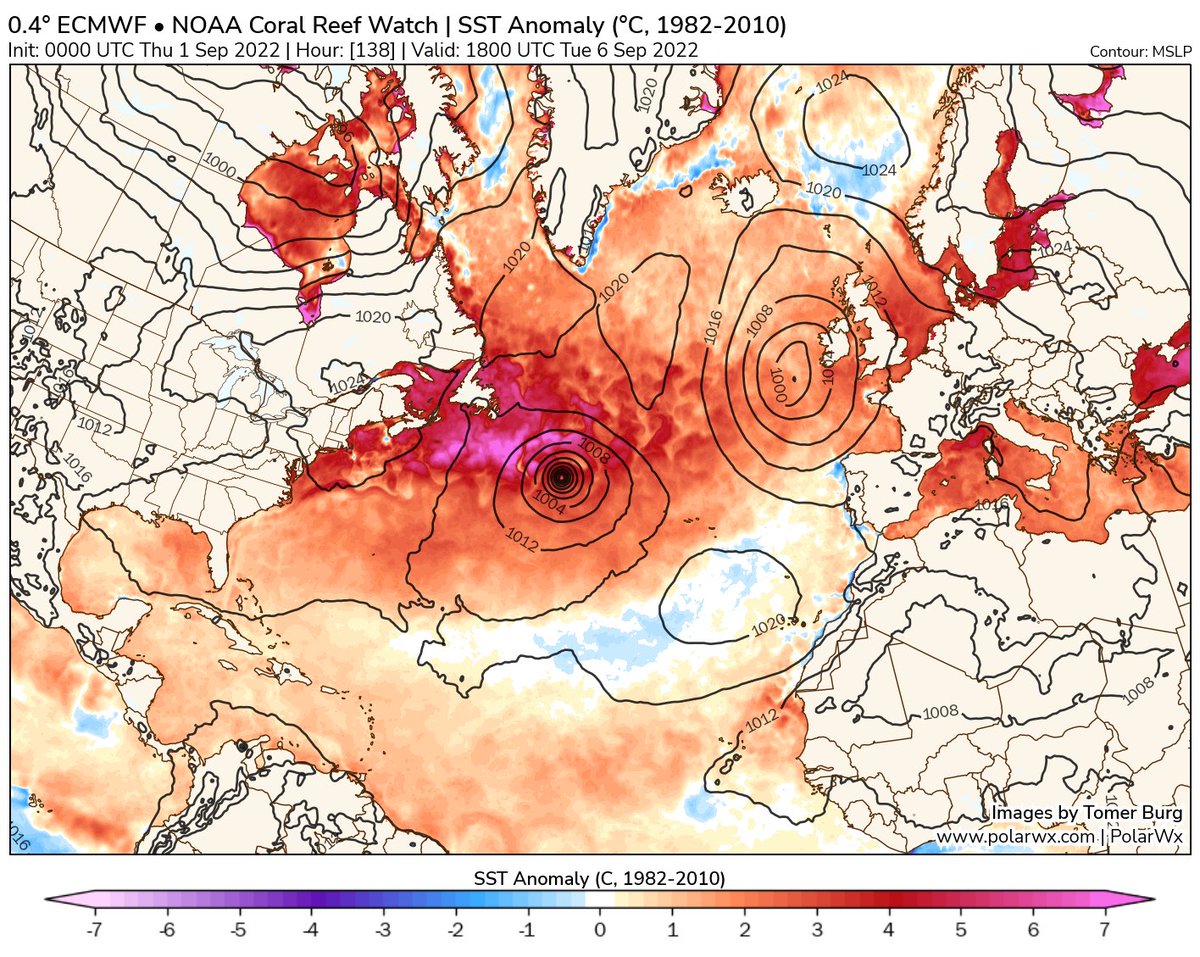 Dr JJ González Alemán tweet media