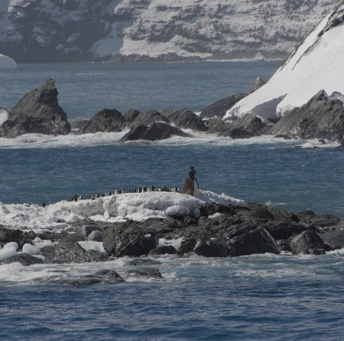 SouthGeorgiaHT's tweet photo. Anne Thomas Donaghy - In 1919 Shackleton met grandfather for advice on how to give a travelogue.
I visited Elephant Island and Shackleton's grave...I stood alone...a feeling of utter peace. A highlight of my life.
https://t.co/HaaZNW8gRS
#MyShackleton #SouthGeorgiaMuseum https://t.co/fI34FP8xWQ