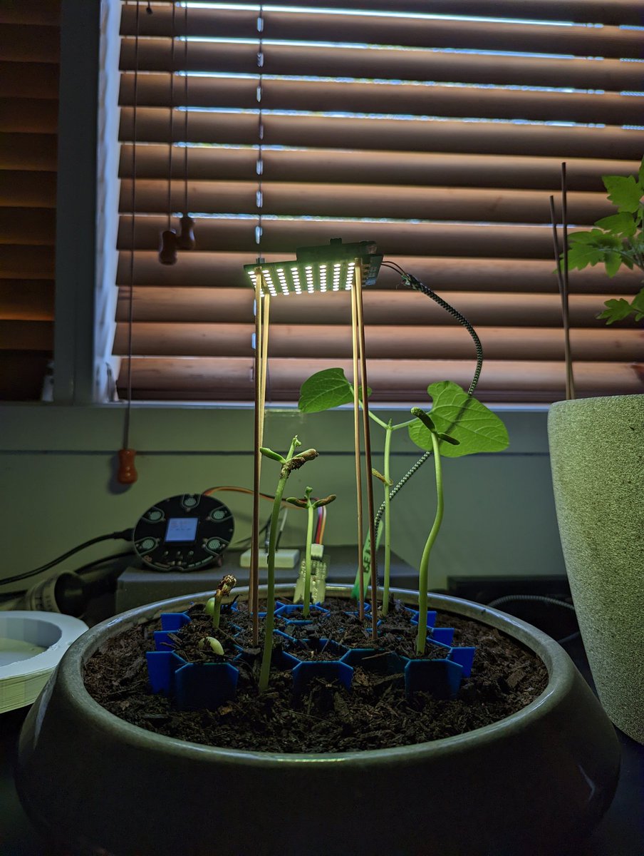 Steef_Reid's tweet photo. Getting some smart gardens going in the STEM Lab with #microbit and #arduino https://t.co/8Ht6Q0Sqa5