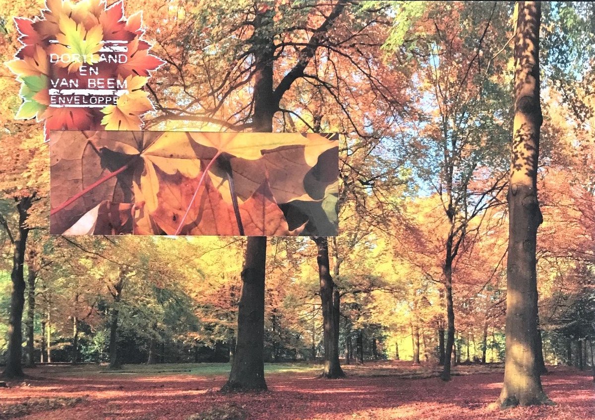 Vandaag start de herfst (Meteorologisch). De dagen worden korter en de bomen gaan verkleuren. 
Daar passen wij natuurlijk onze factuurenveloppen op aan 😉
#herfst #drukwerk #enveloppen