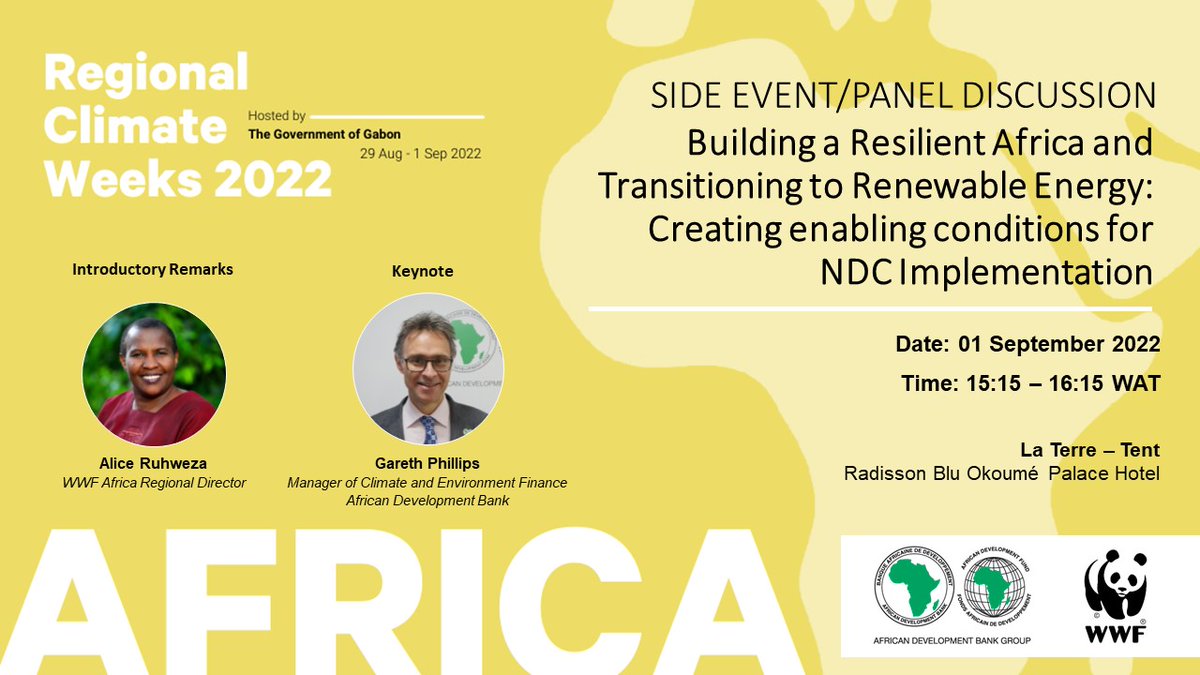 African Development Bank Group tweet media