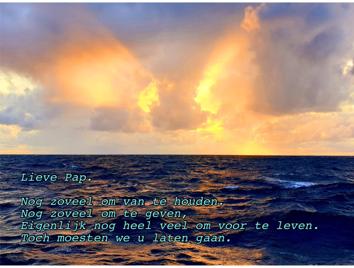 Dirk X 🐟 BRA7 tweet media