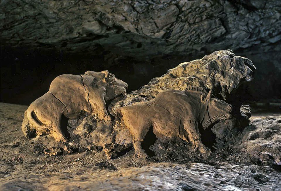 historydefined's tweet photo. Bisons sculptures found in Le Tuc d'Audoubert cave. Ariege, France, 14,000 years old https://t.co/tI6yQ7zVYF