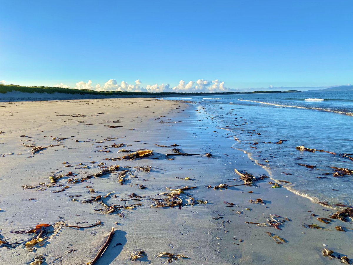 Jen Vanderhoven tweet media