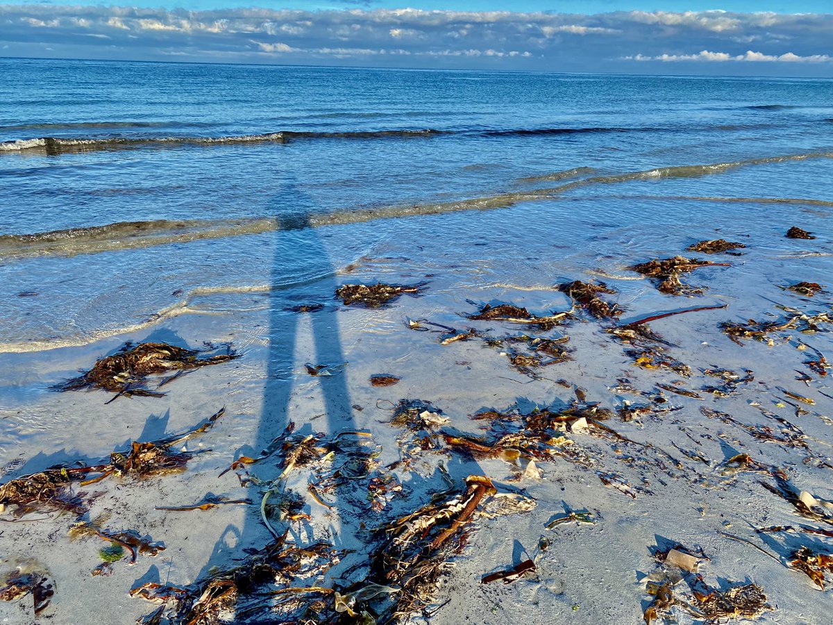 Jen Vanderhoven tweet media