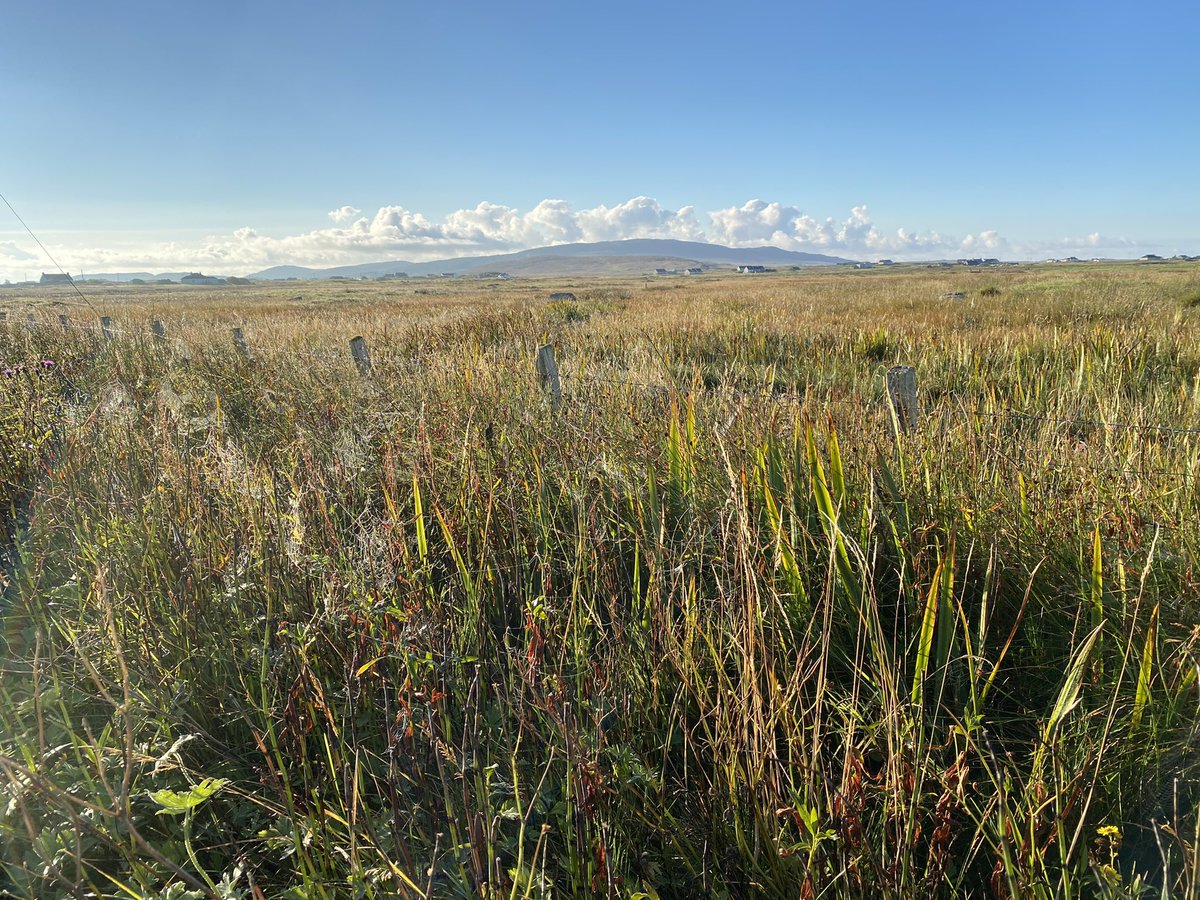 Jen Vanderhoven tweet media