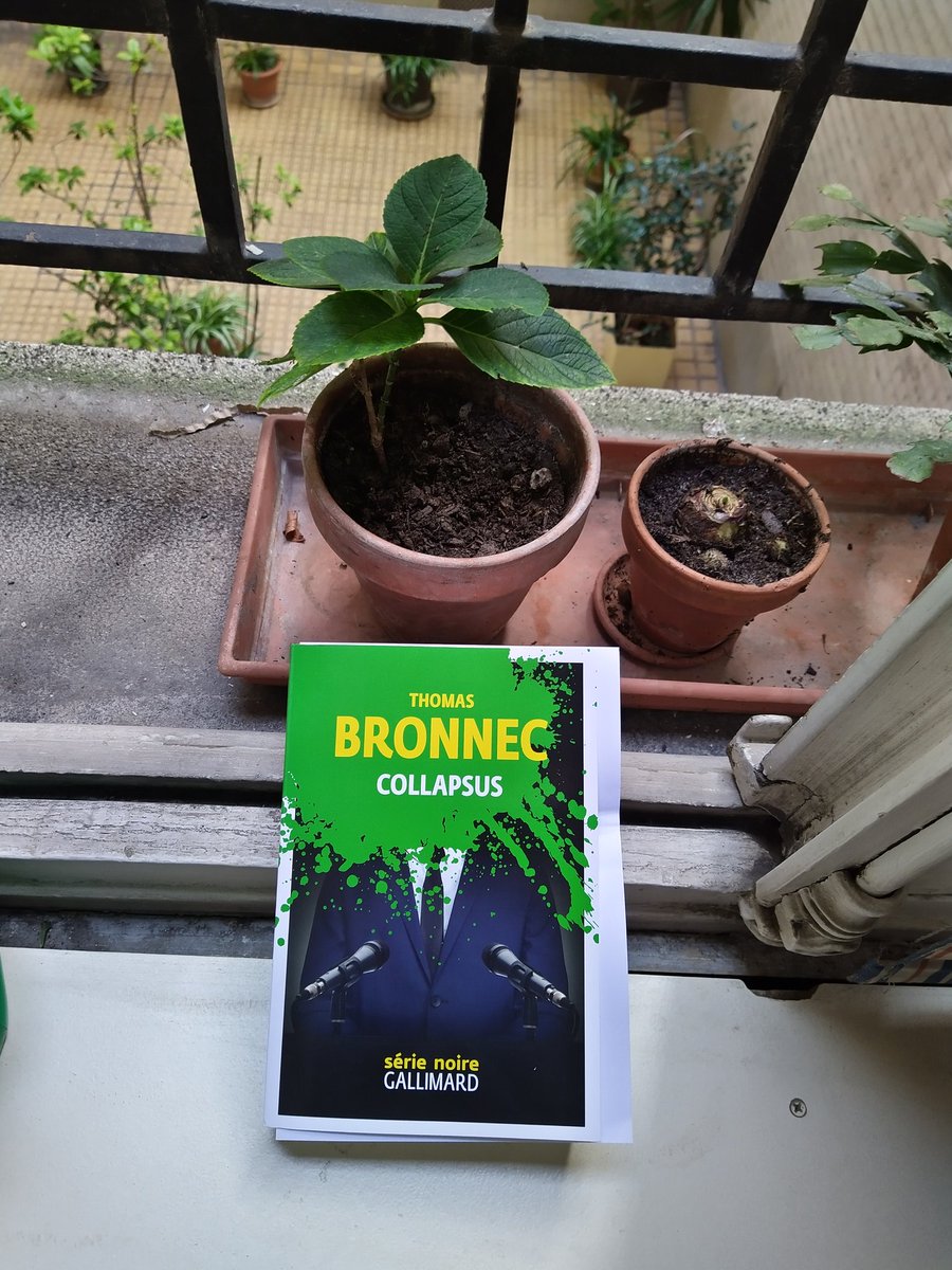romainbgb's tweet image. La belle surprise au courrier ce matin. 🤗🫶🥰
#Bronnec #Collapsus #SérieNoir #Gallimard