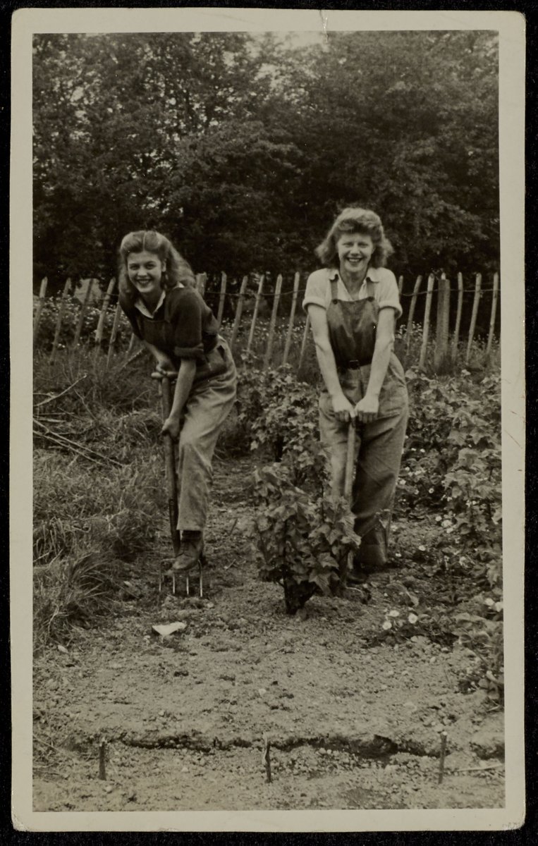 #OrganicSeptember #LandArmy #GrowYourOwn #LocalHistory #NorthEastWalesArchives
September is National Organic Month. Let’s raise awareness of the incredible benefits organic farming can bring for our climate, nature and our health. Photograph- Women’s Land Army, Corwen, c. 1940’s
