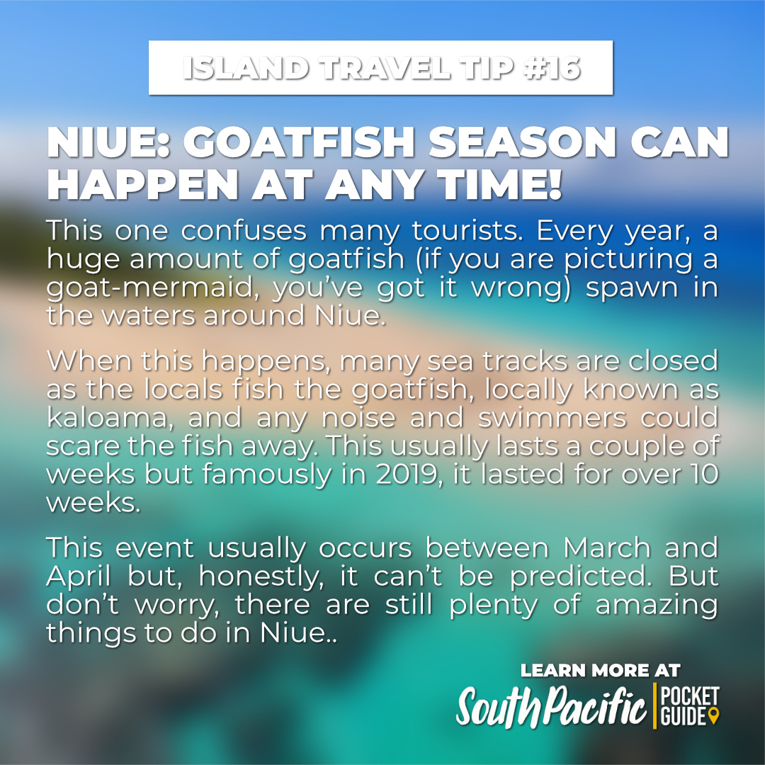 SPPocketGuide's tweet image. 📅 It's already September!!! 
📺 If you are planning a bit of a trip to the islands this month, check out our tips!

#southpacificpocketguide #paradise #beachlife #beautiful #paradiseisland #pacificislands #travel #dreamdestinations #island #pacificocean #oceania #polynesia