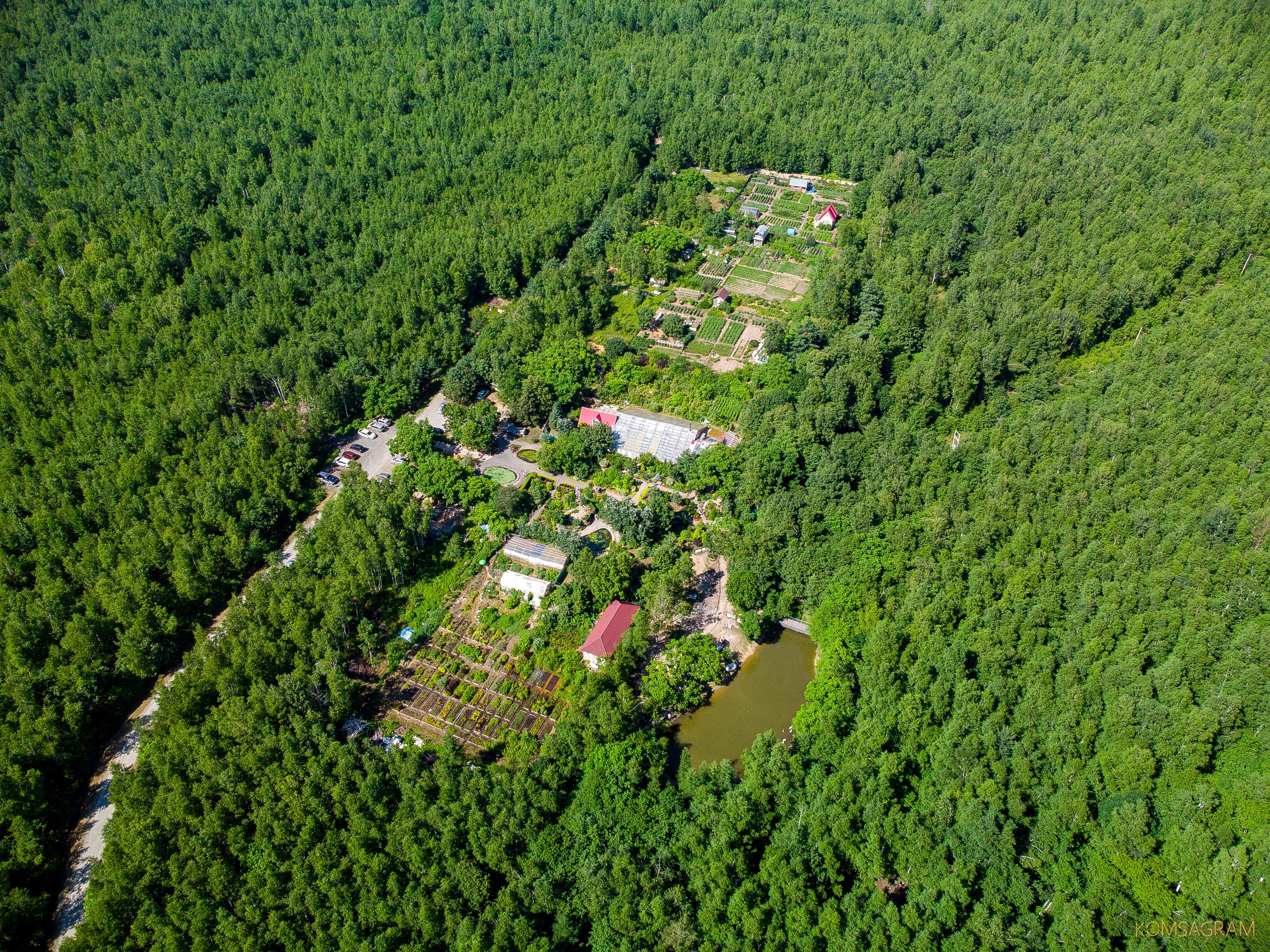 Ботанический сад амурск