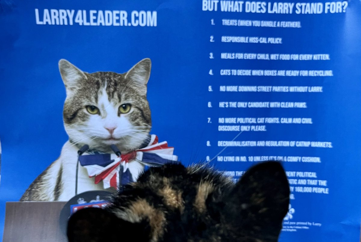 Georgia Stephenson (@stephenson_geo) on Twitter photo After studying the policies closely, Squeaks is fully backing <a href="/Number10cat/">Larry the Cat</a> #Leader4Leader After studying the policies closely, Squeaks is fully backing <a href="/Number10cat/">Larry the Cat</a> #Leader4Leader