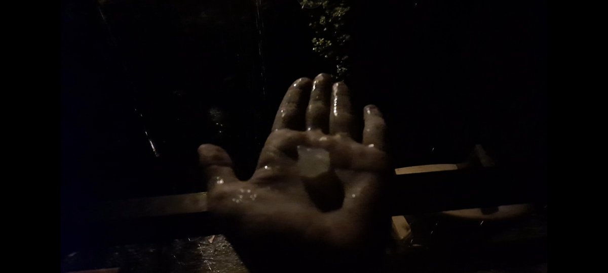 Daniel Garau Conde tweet media