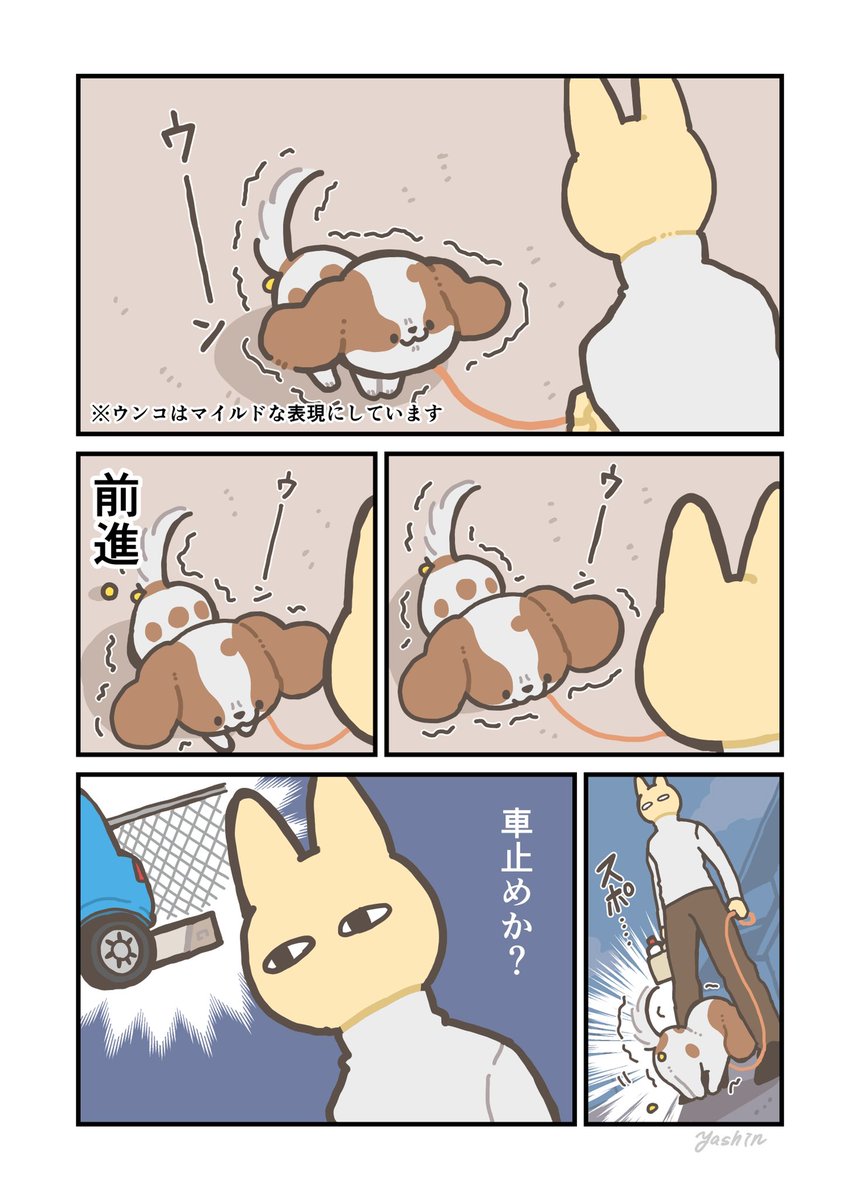 犬日記 なぜか前に進む 