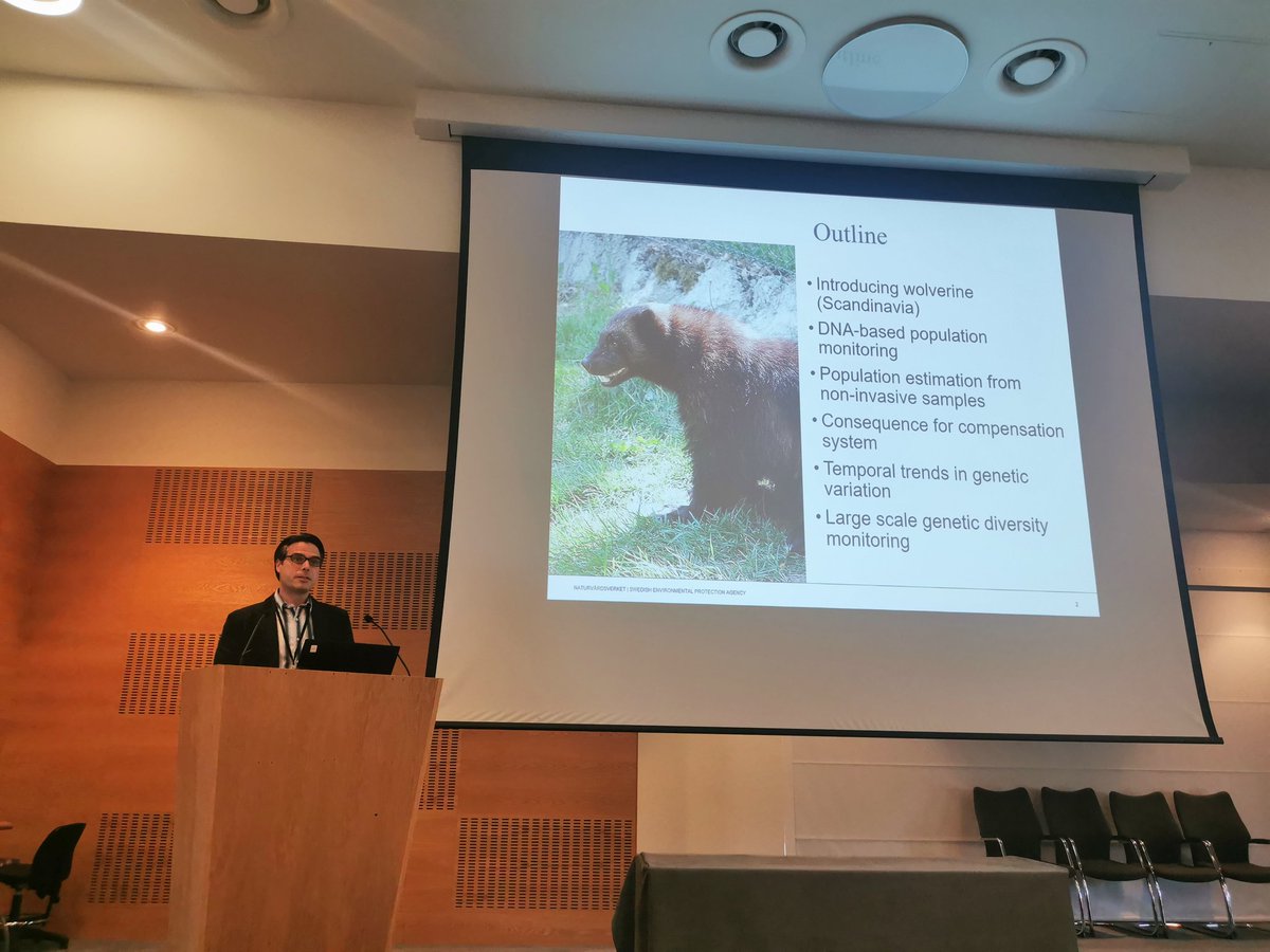 European Conservation Genetics Meeting (@consgen22) on Twitter photo Day 3 is off to a roaring start with our speaker Robert Ekblom from <a href="/naturvardsverk/">Naturvårdsverket</a>!
He will discuss the genetic population monitoring of Scandinavian large carnivores and how policy, management and research can all work together for wildlife conservation ♻️ Day 3 is off to a roaring start with our speaker Robert Ekblom from <a href="/naturvardsverk/">Naturvårdsverket</a>!
He will discuss the genetic population monitoring of Scandinavian large carnivores and how policy, management and research can all work together for wildlife conservation ♻️