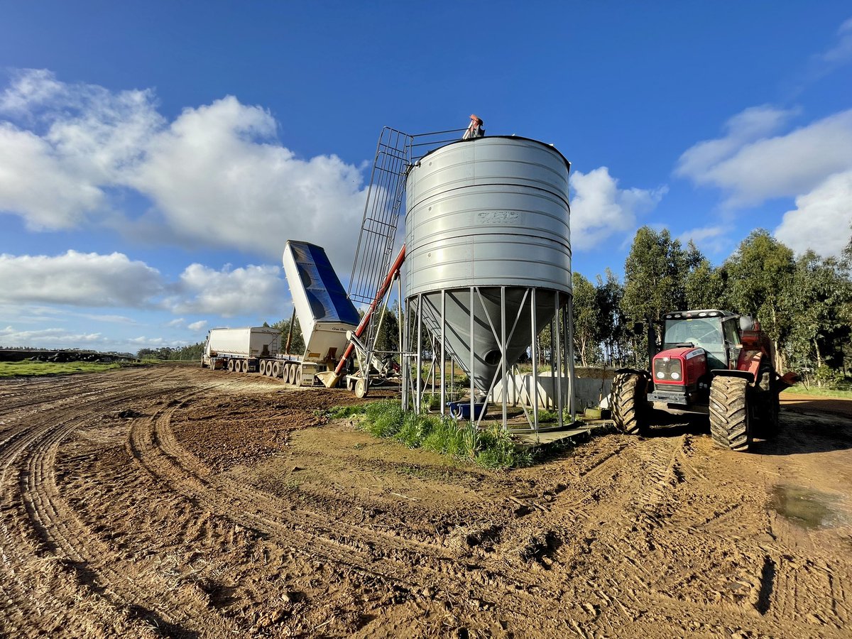 Beautiful afternoon for some grain delivery and a mixer full of our secret blend ready to be fed to some of our premium fullblood Wagyu
