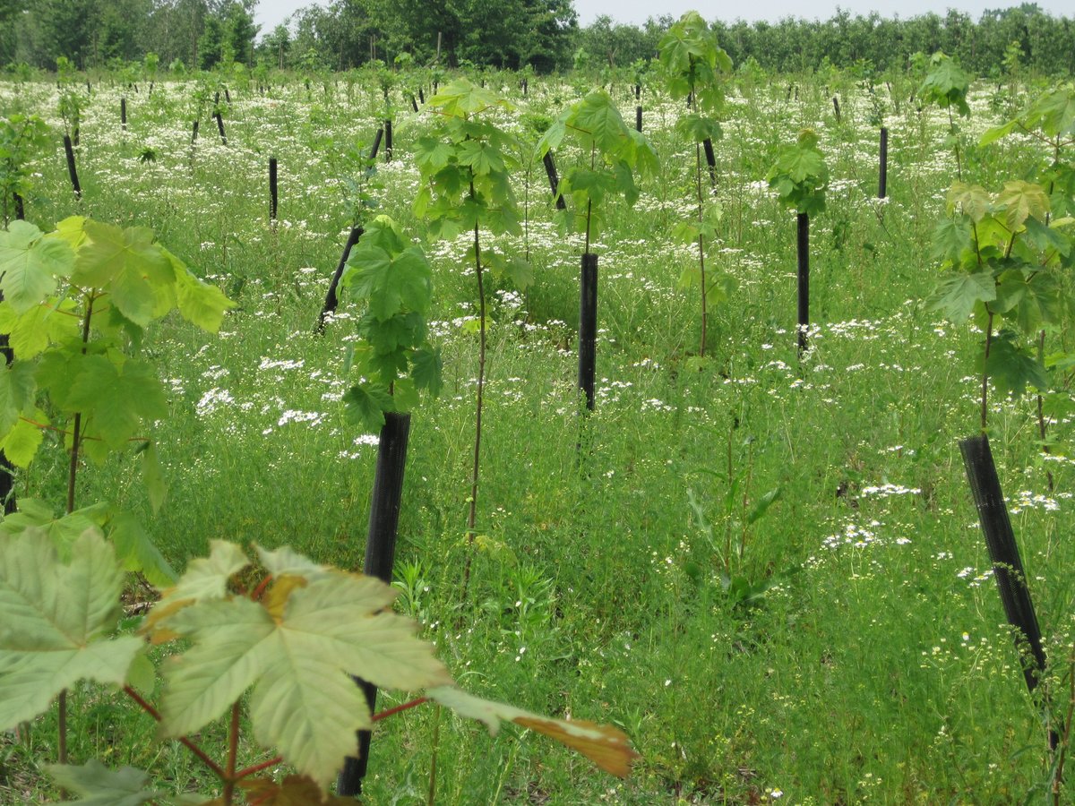 Plan(t) nú je eigen bedrijfsbos

Webinar voor bedrijfsleiders, hr- en aankoopverantwoordelijken en csr-managers

13 september 2022 – 16u00 tot 17u00

bosteller.virtual-event.be